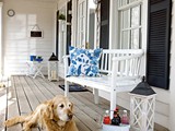 STROKE OF LUCK PORCH & DOG STANDARD+
